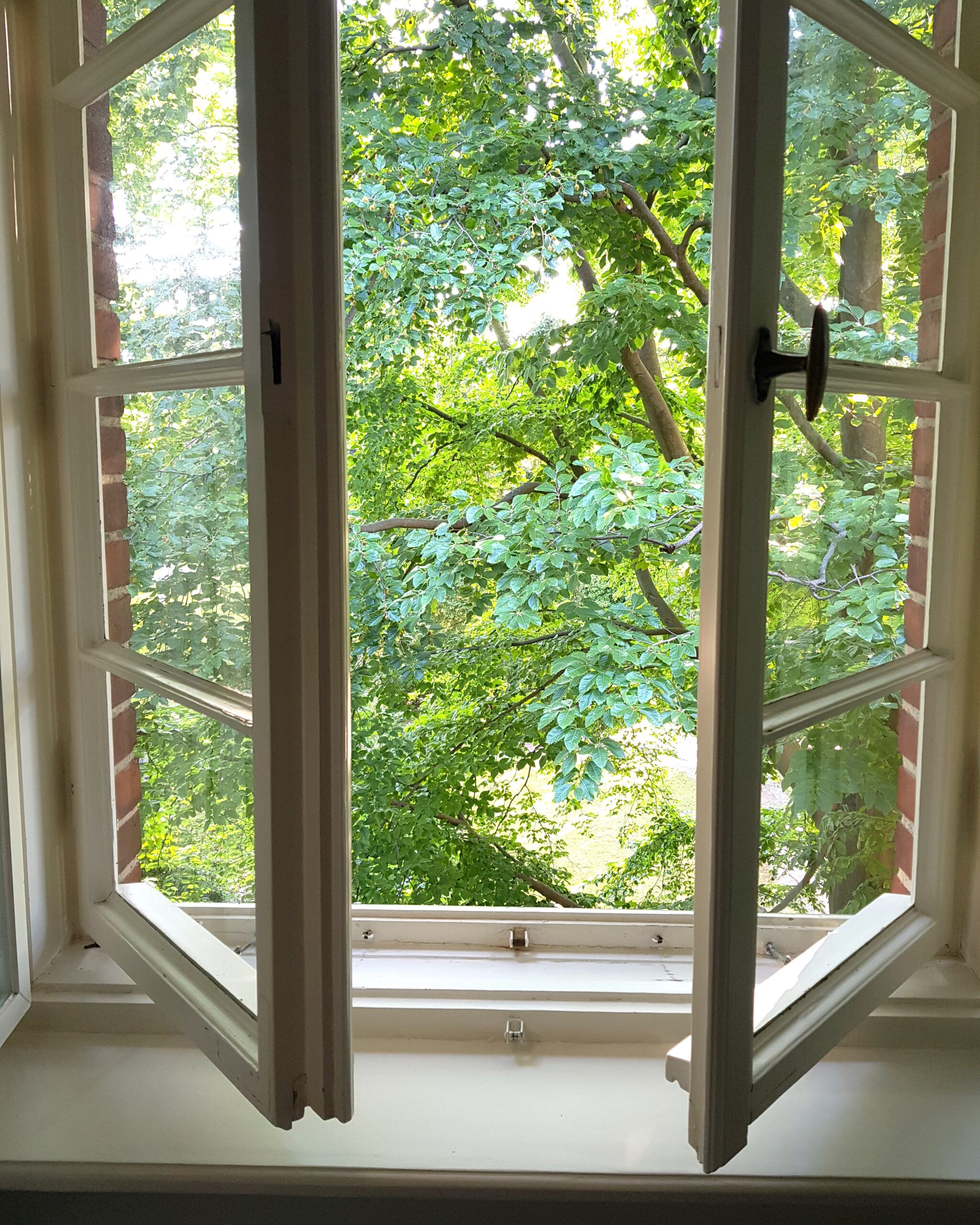 offenes Holzfenster lässt frische Luft rein
