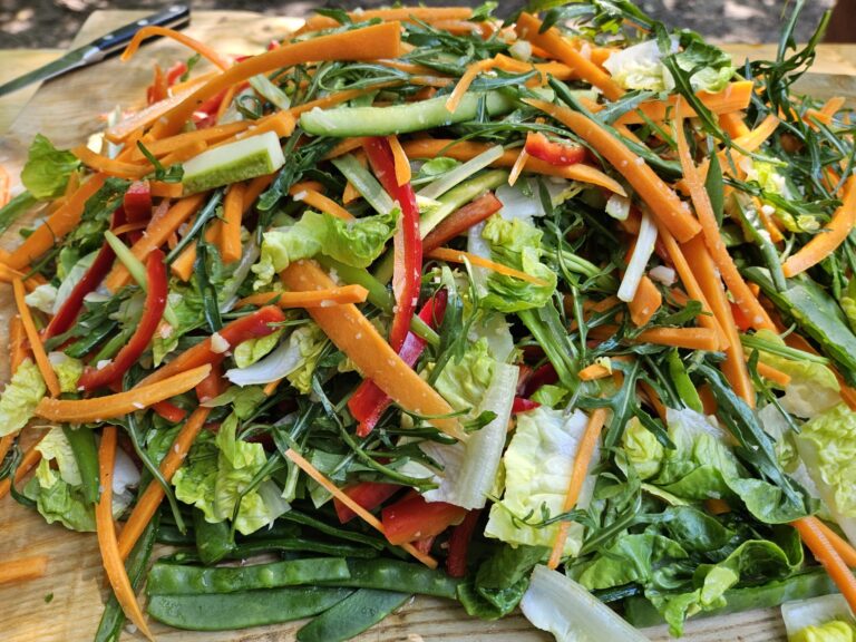 bunte Salatmischung